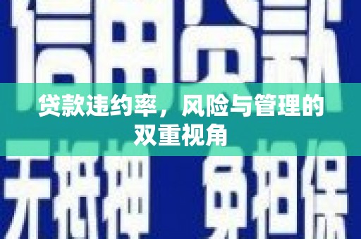 乌伊岭贷款违约率，风险与管理的双重视角