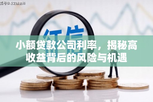 乌伊岭小额贷款公司利率，揭秘高收益背后的风险与机遇