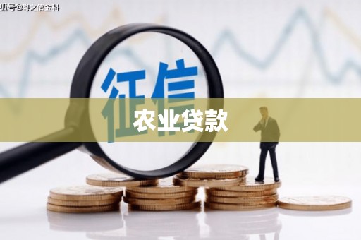 乌伊岭农业贷款