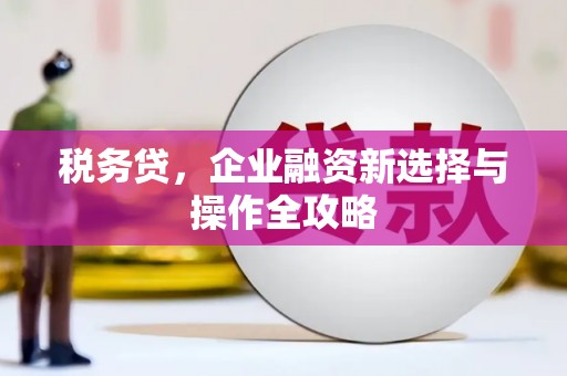 乌伊岭税务贷，企业融资新选择与操作全攻略