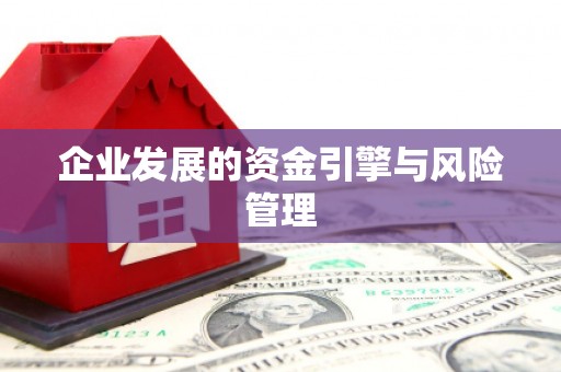 乌伊岭企业发展的资金引擎与风险管理