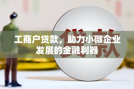 乌伊岭工商户贷款，助力小微企业发展的金融利器