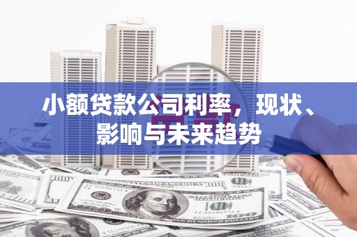 乌伊岭小额贷款公司利率，现状、影响与未来趋势