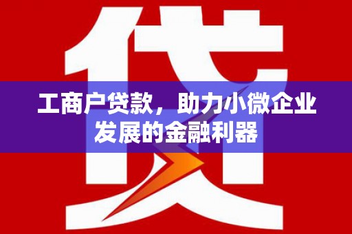 乌伊岭工商户贷款，助力小微企业发展的金融利器