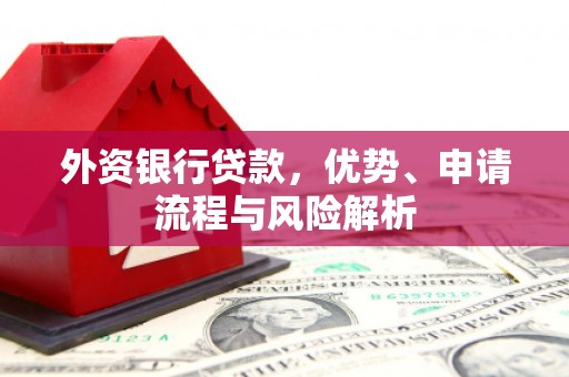 乌伊岭外资银行贷款，优势、申请流程与风险解析