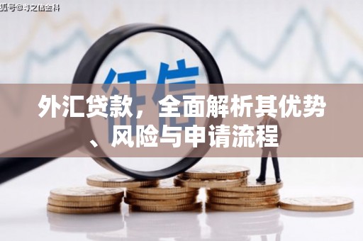 乌伊岭外汇贷款，全面解析其优势、风险与申请流程