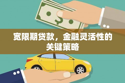 乌伊岭宽限期贷款，金融灵活性的关键策略