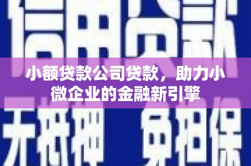 乌伊岭小额贷款公司贷款，助力小微企业的金融新引擎
