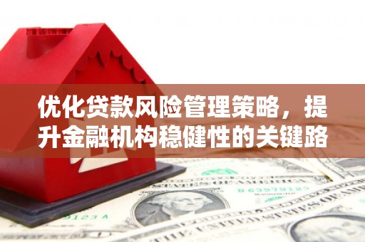 乌伊岭优化贷款风险管理策略，提升金融机构稳健性的关键路径