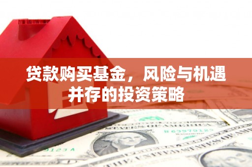 乌伊岭贷款购买基金，风险与机遇并存的投资策略