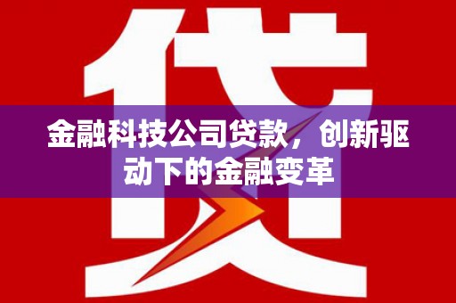 乌伊岭金融科技公司贷款，创新驱动下的金融变革
