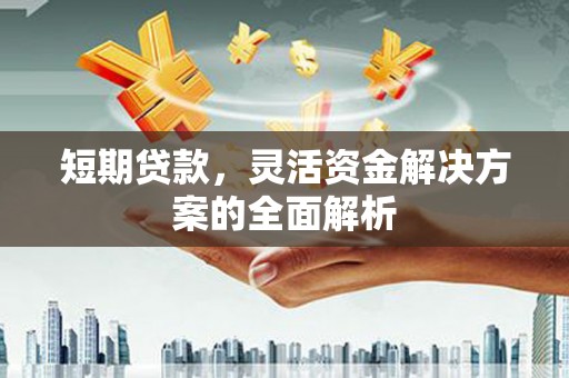 乌伊岭短期贷款，灵活资金解决方案的全面解析
