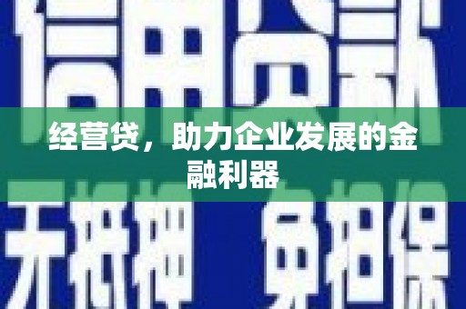 乌伊岭经营贷，助力企业发展的金融利器