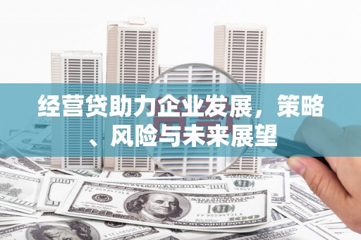 乌伊岭经营贷助力企业发展，策略、风险与未来展望