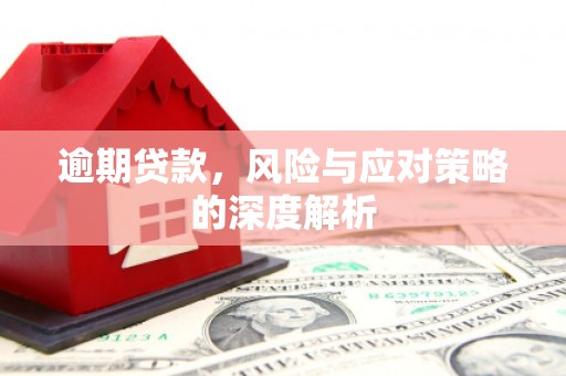 乌伊岭逾期贷款，风险与应对策略的深度解析