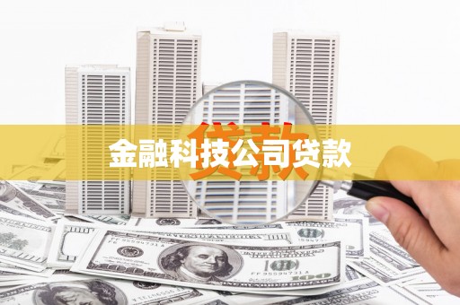 乌伊岭金融科技公司贷款