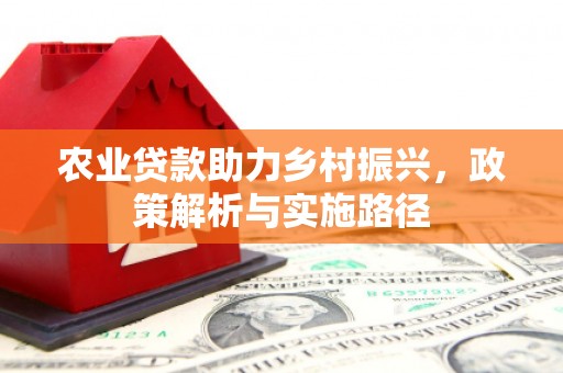 乌伊岭农业贷款助力乡村振兴，政策解析与实施路径