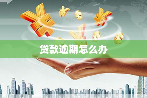 乌伊岭贷款逾期怎么办