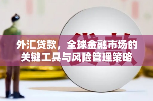 乌伊岭外汇贷款，全球金融市场的关键工具与风险管理策略