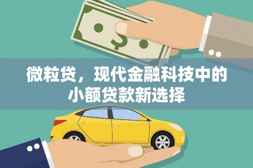 乌伊岭微粒贷，现代金融科技中的小额贷款新选择