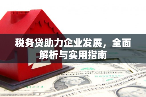 乌伊岭税务贷助力企业发展，全面解析与实用指南