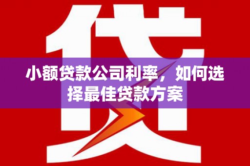 乌伊岭小额贷款公司利率，如何选择最佳贷款方案