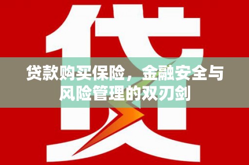乌伊岭贷款购买保险，金融安全与风险管理的双刃剑