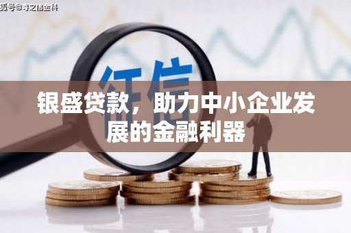 乌伊岭银盛贷款，助力中小企业发展的金融利器
