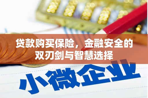 乌伊岭贷款购买保险，金融安全的双刃剑与智慧选择