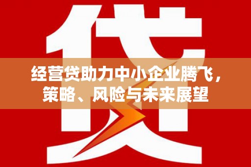 乌伊岭经营贷助力中小企业腾飞，策略、风险与未来展望