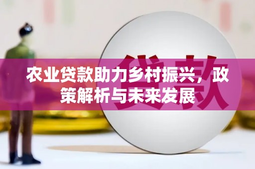 乌伊岭农业贷款助力乡村振兴，政策解析与未来发展