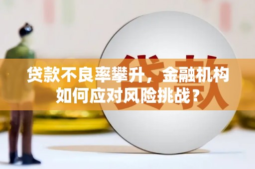 乌伊岭贷款不良率攀升，金融机构如何应对风险挑战？