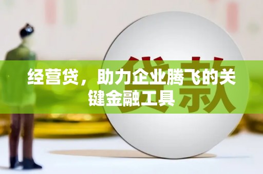 乌伊岭经营贷，助力企业腾飞的关键金融工具