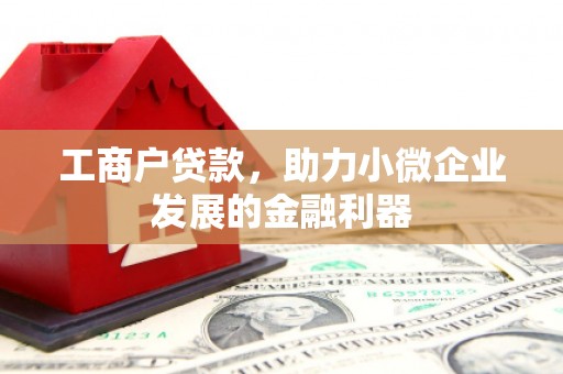 乌伊岭工商户贷款，助力小微企业发展的金融利器