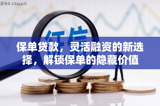乌伊岭保单贷款，灵活融资的新选择，解锁保单的隐藏价值