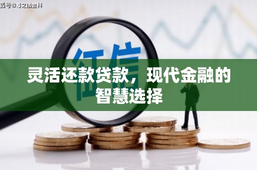 乌伊岭灵活还款贷款，现代金融的智慧选择