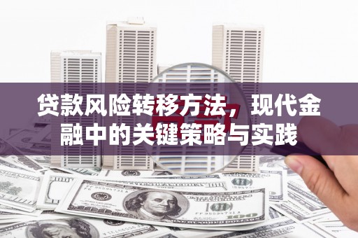 乌伊岭贷款风险转移方法，现代金融中的关键策略与实践