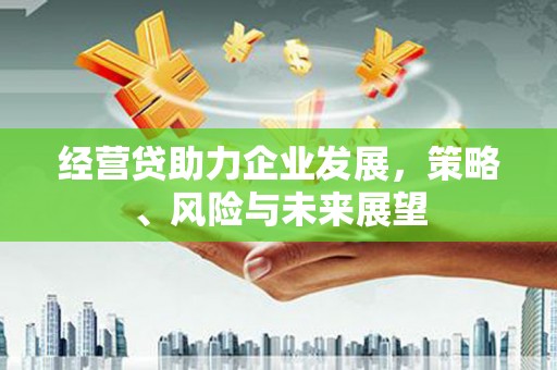 乌伊岭经营贷助力企业发展，策略、风险与未来展望