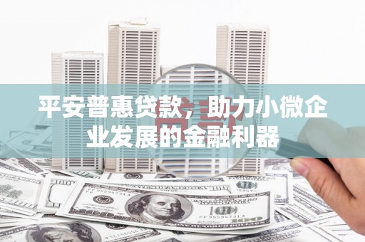 乌伊岭平安普惠贷款，助力小微企业发展的金融利器