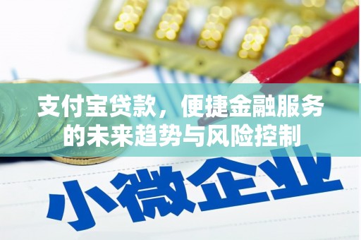 乌伊岭支付宝贷款，便捷金融服务的未来趋势与风险控制