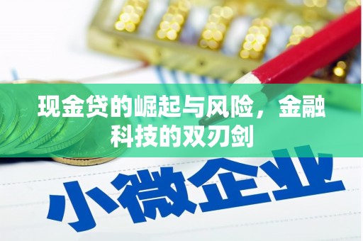 乌伊岭现金贷的崛起与风险，金融科技的双刃剑
