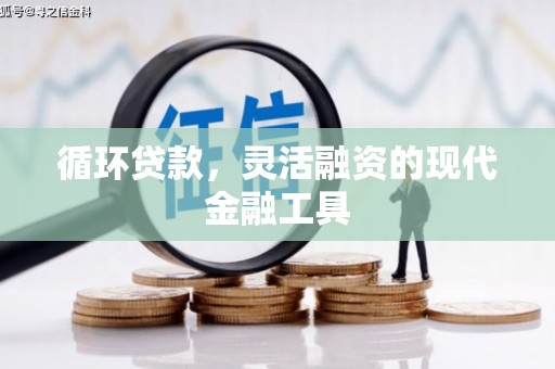 乌伊岭循环贷款，灵活融资的现代金融工具