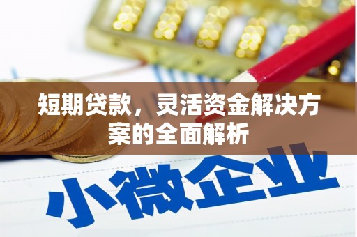 乌伊岭短期贷款，灵活资金解决方案的全面解析