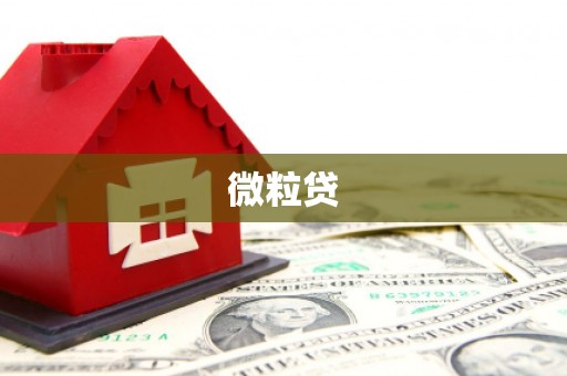乌伊岭微粒贷