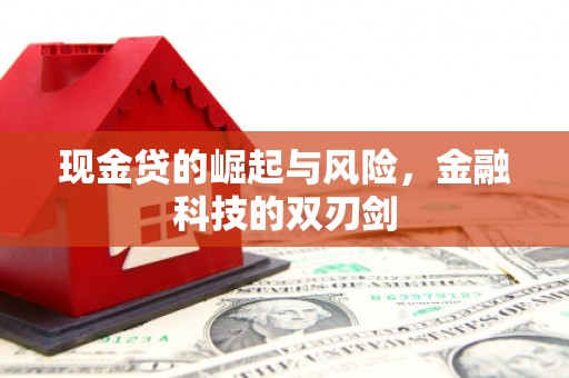 乌伊岭现金贷的崛起与风险，金融科技的双刃剑