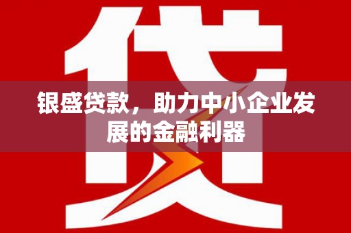 乌伊岭银盛贷款，助力中小企业发展的金融利器