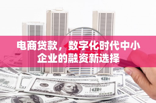 乌伊岭电商贷款，数字化时代中小企业的融资新选择