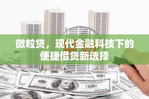 乌伊岭微粒贷，现代金融科技下的便捷借贷新选择