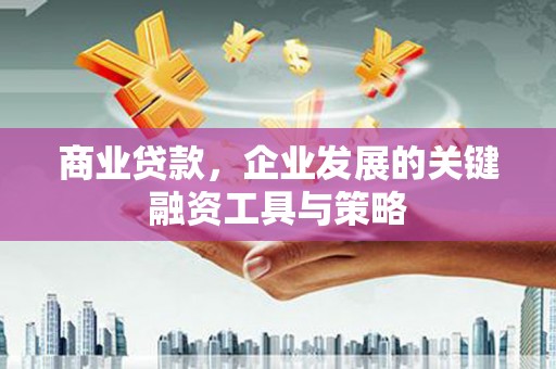 乌伊岭商业贷款，企业发展的关键融资工具与策略