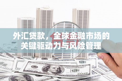 乌伊岭外汇贷款，全球金融市场的关键驱动力与风险管理